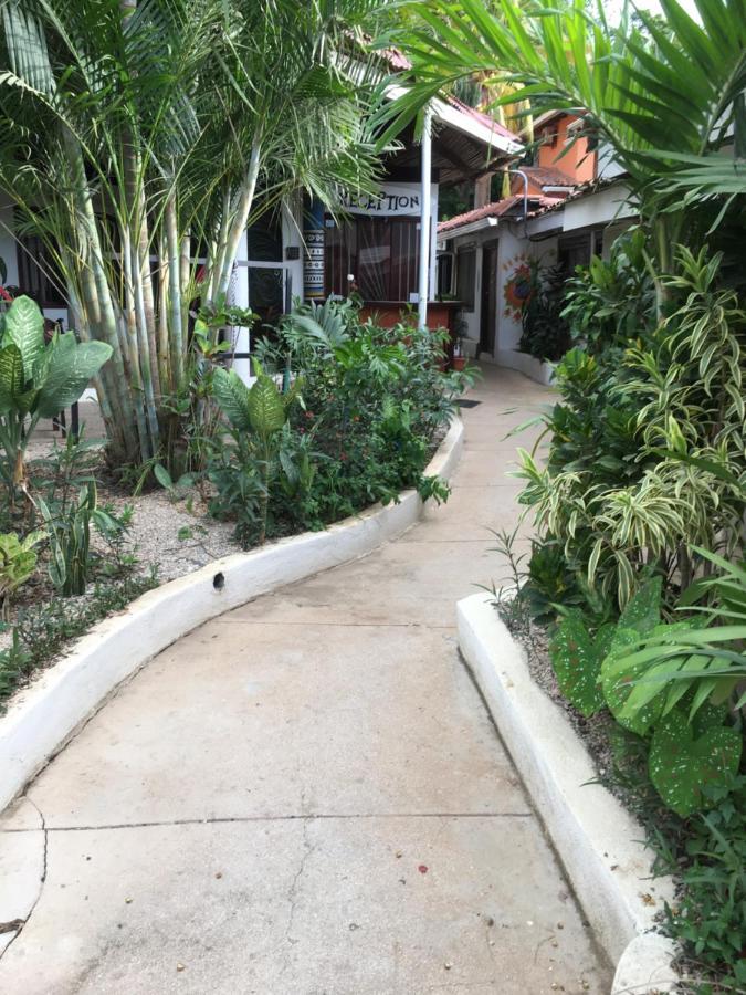 Pura Vida Hostel ตามารินโด ภายนอก รูปภาพ