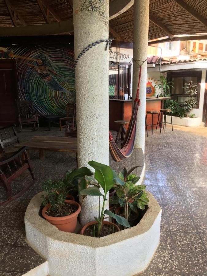 Pura Vida Hostel ตามารินโด ภายนอก รูปภาพ