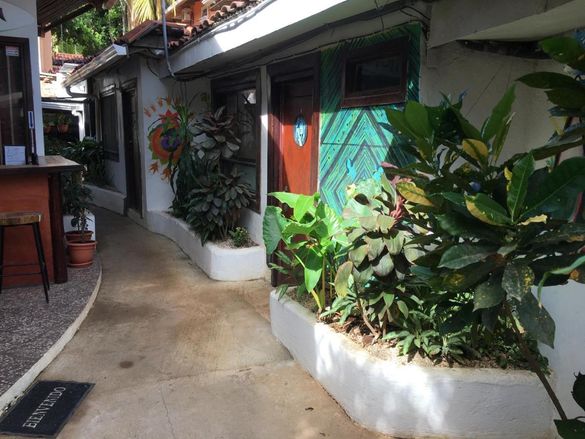 Pura Vida Hostel ตามารินโด ภายนอก รูปภาพ