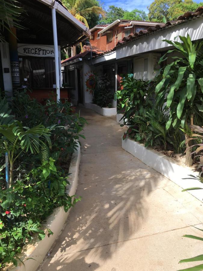 Pura Vida Hostel ตามารินโด ภายนอก รูปภาพ